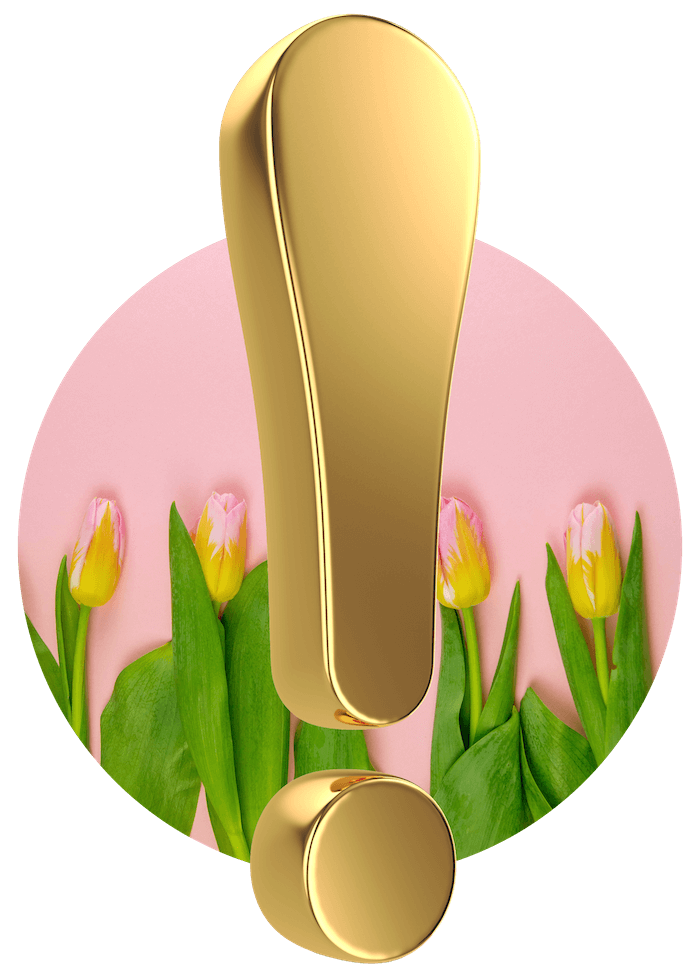 Aktuelles aus dem Theater Pfütze. Goldenes Ausrufezeichen vor rosa Tulpen-Hintergrund